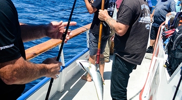 AWC - 6th Fishing Trip - 178.jpg